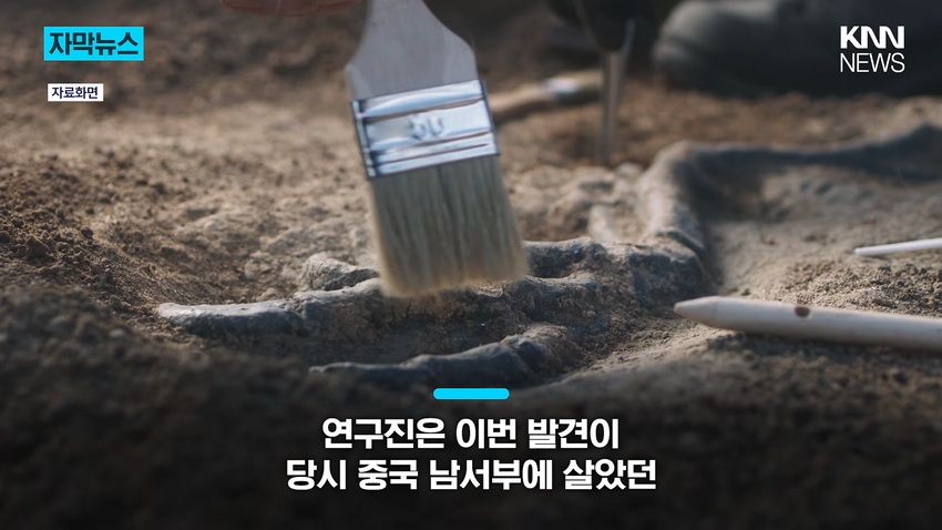 1억 년 전 초대형 공룡 뼈, 공사 현장에서 발견돼.