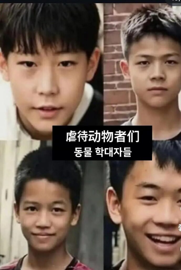 동네 인기견 가족, 초등학생들에 의해 끔찍하게 희생