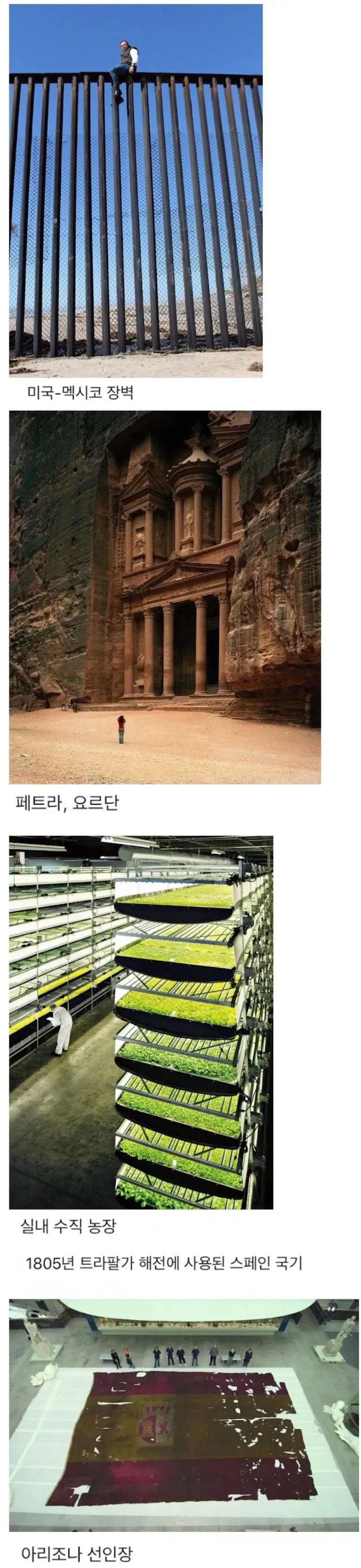 의외로 크기가 엄청 크다는것들