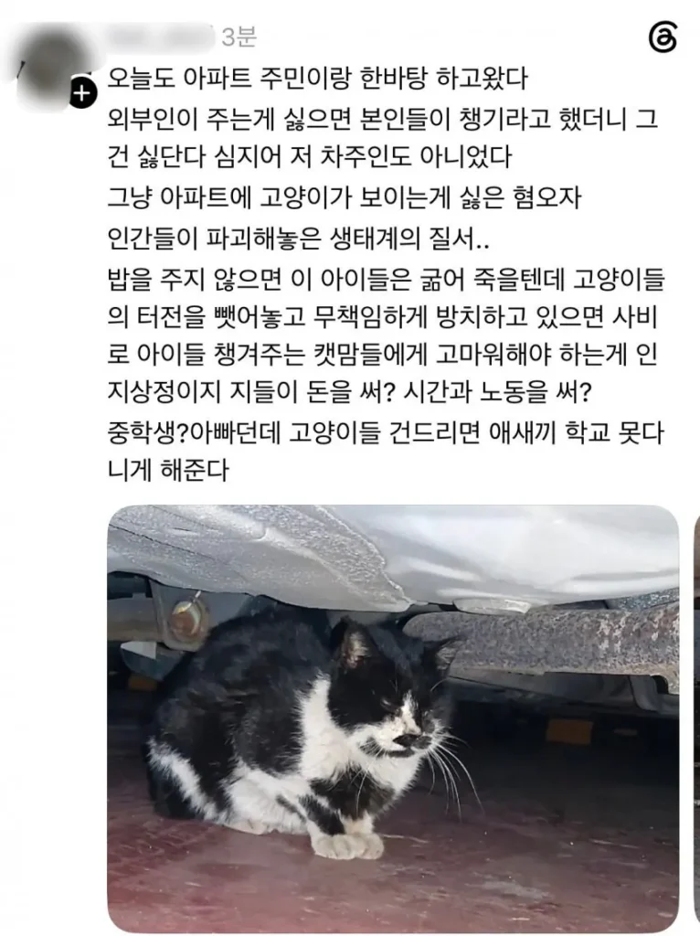 이웃 아파트에서 고양이 밥 주는 캣맘