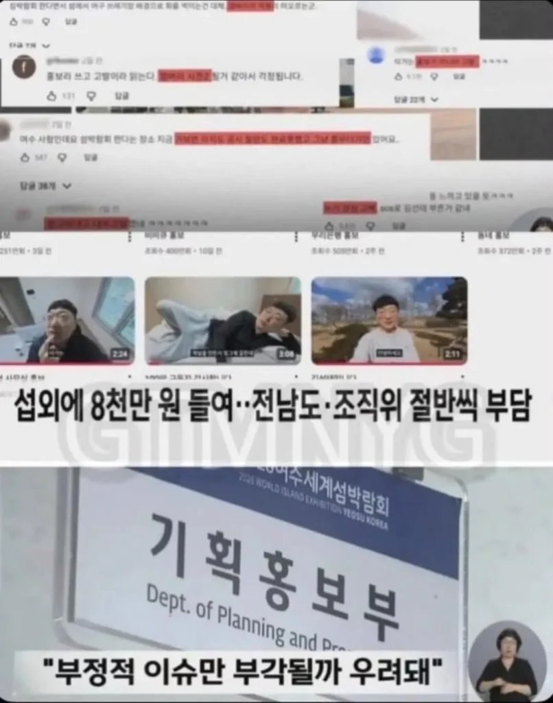 여수섬박람회 홍보비 8,000만원, 김선태 관련