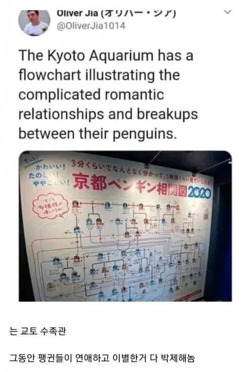 연애를 기록하는 듯한 회사