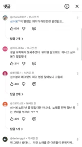 김다현 무대 영상, 심수봉이 저격했다는 의견에 대한 댓글