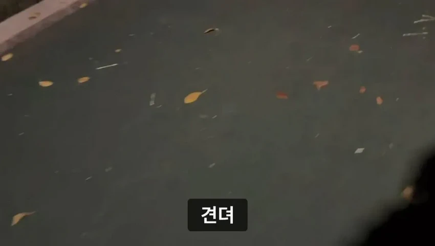 군대 안 가본 여자의 20kg 20km 행군 도전기.jpg