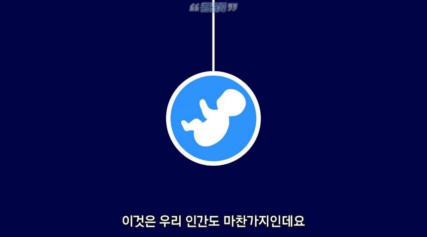 남자들은 잘 모르는 '냉'에 대하여
