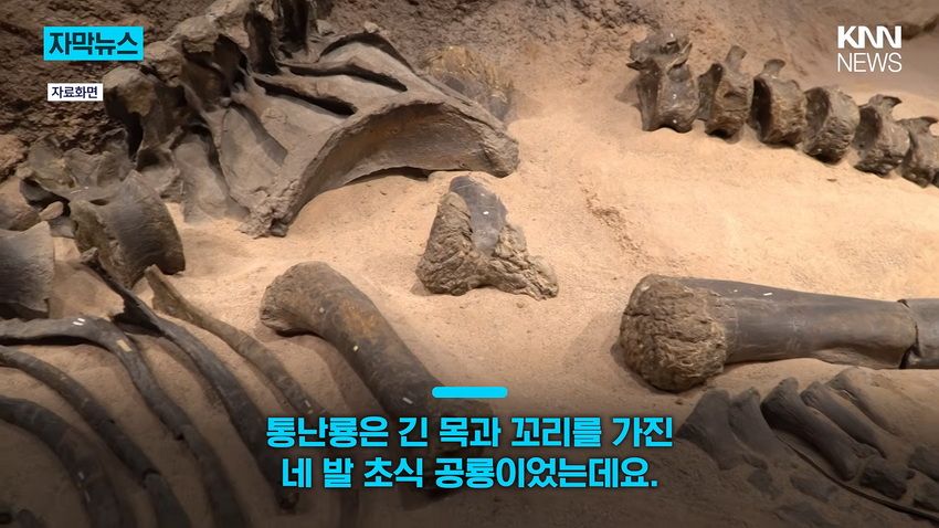 1억 년 전 초대형 공룡 뼈, 공사 현장에서 발견돼.