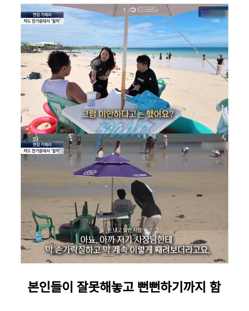 우도까지 진출한 짱개바퀴벌레, 제주도 점령