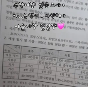 요즘 수학여행 근황.jpg