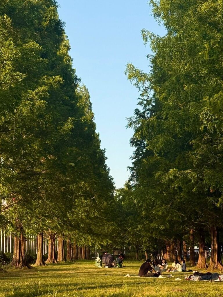 일산 이사 후 이국적인 동네 풍경에 해외여행 욕구를 잃은 사연