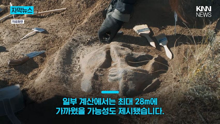 1억 년 전 초대형 공룡 뼈, 공사 현장에서 발견돼.