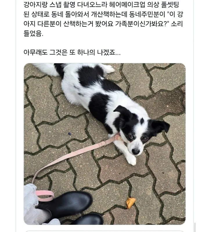 한껏 꾸미고 강아지 산책가면 생기는 일