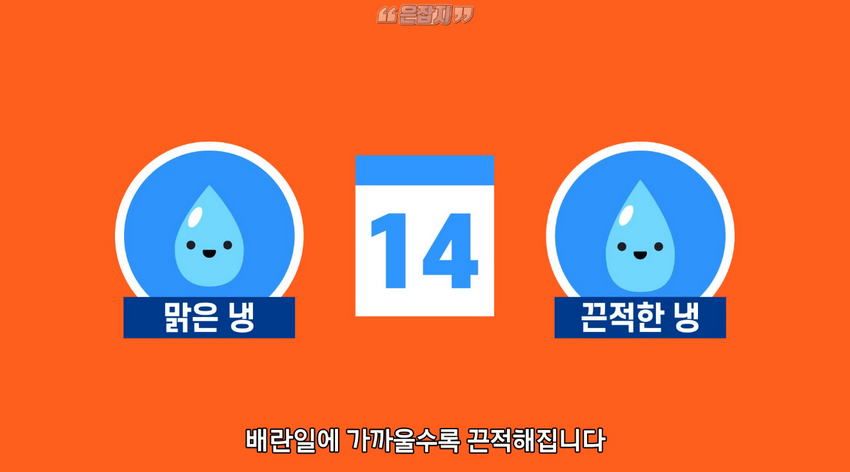 남자들은 잘 모르는 '냉'에 대하여