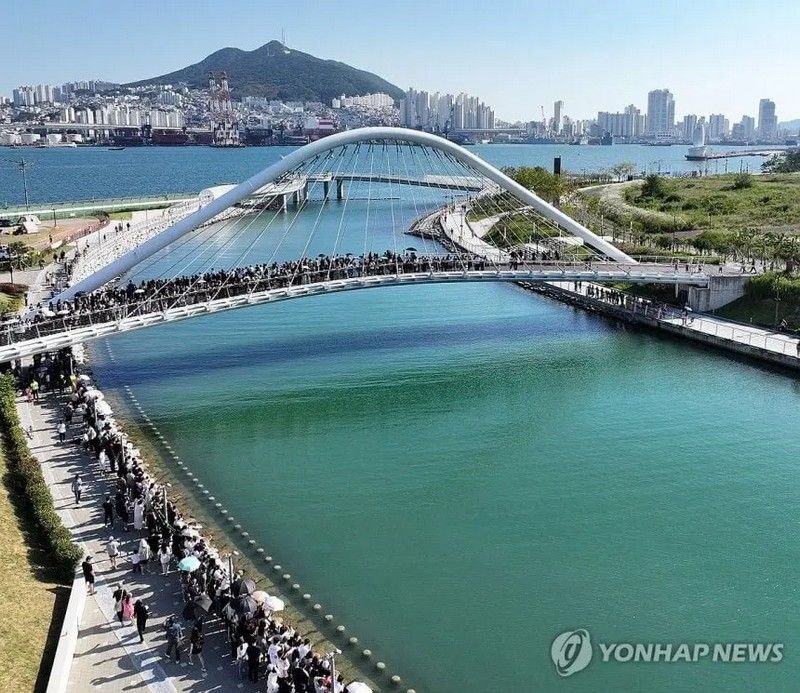 부산 무료 상어 쇼, 아직 진행 중