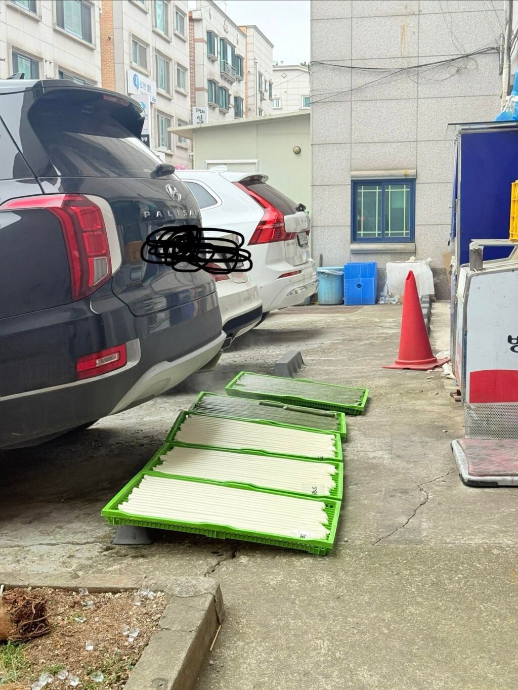 떡집 떡 식히는 방법, 원래 이런 방식인가요?