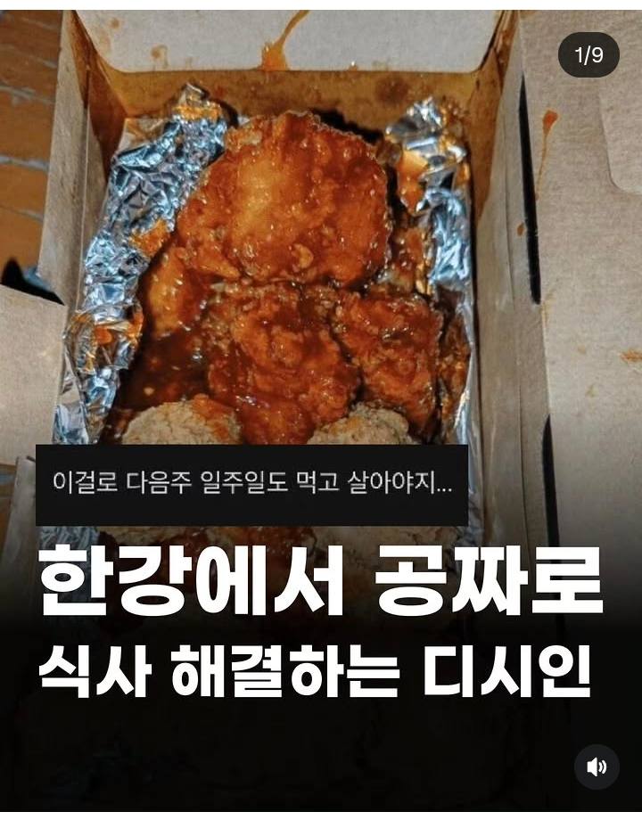 한강에서 무료 식사 해결하는 디시인