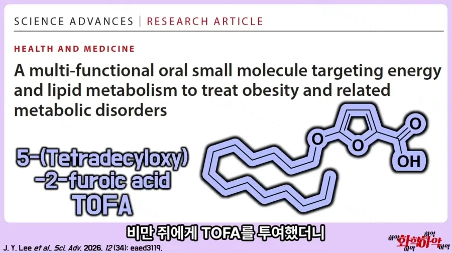 체중 감량 돕는 신물질 발견, 쯔양 몸매 관리 비결?