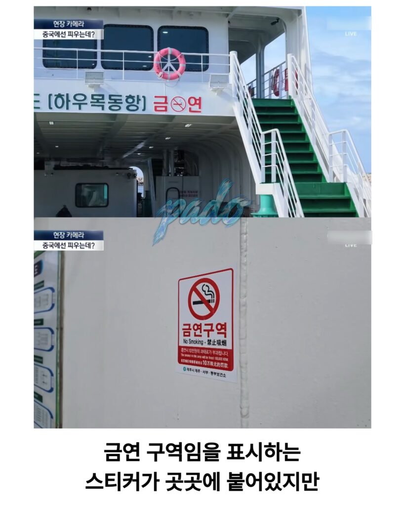 우도까지 진출한 짱개바퀴벌레, 제주도 점령