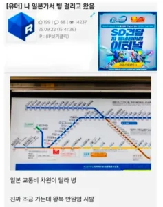 일본 여행 후 질병에 걸려 돌아왔습니다