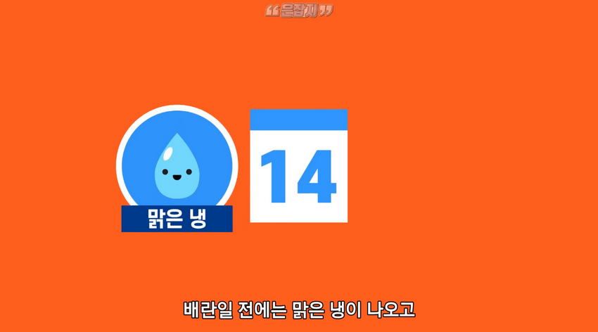 남자들은 잘 모르는 '냉'에 대하여