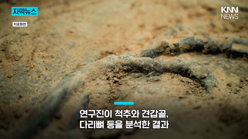 1억 년 전 초대형 공룡 뼈, 공사 현장에서 발견돼.