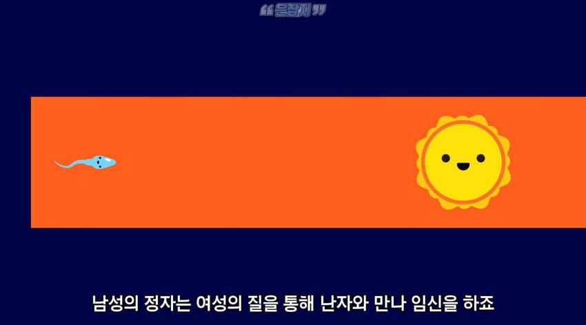남자들은 잘 모르는 '냉'에 대하여