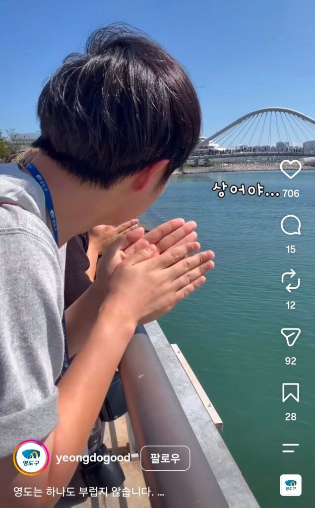 영도구 공무원, 상어님의 방문을 간절히 기원