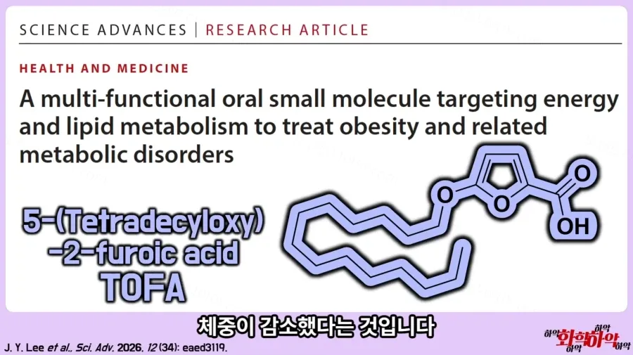 체중 감량 돕는 신물질 발견, 쯔양 몸매 관리 비결?