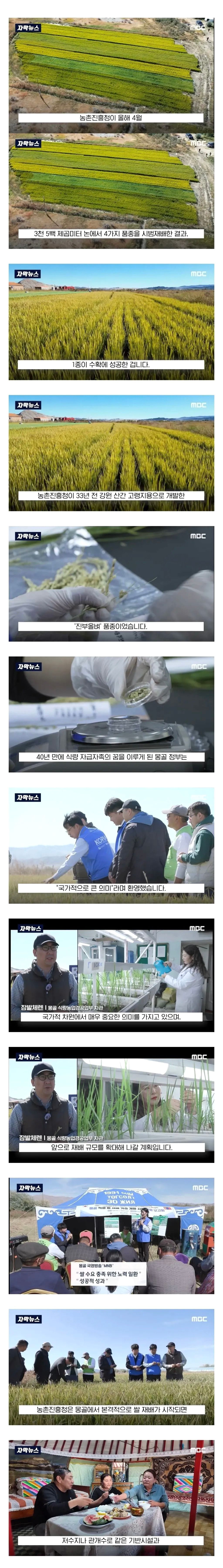 한국을 좋아하는 몽골의 이유