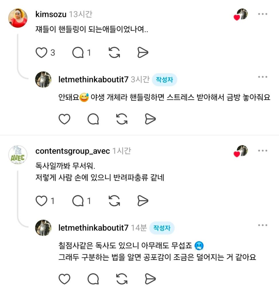 1년 뒤, 차도에서 구조한 누룩뱀에게 일어난 변화