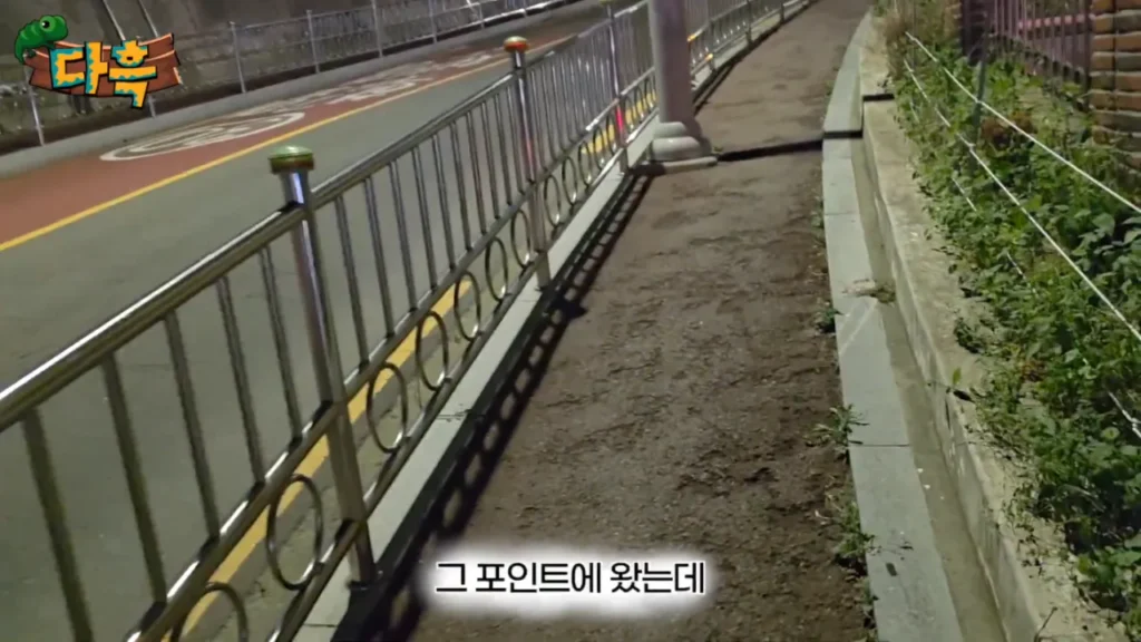 최근 부산에 서식하는 거대 돈벌레(그리마)