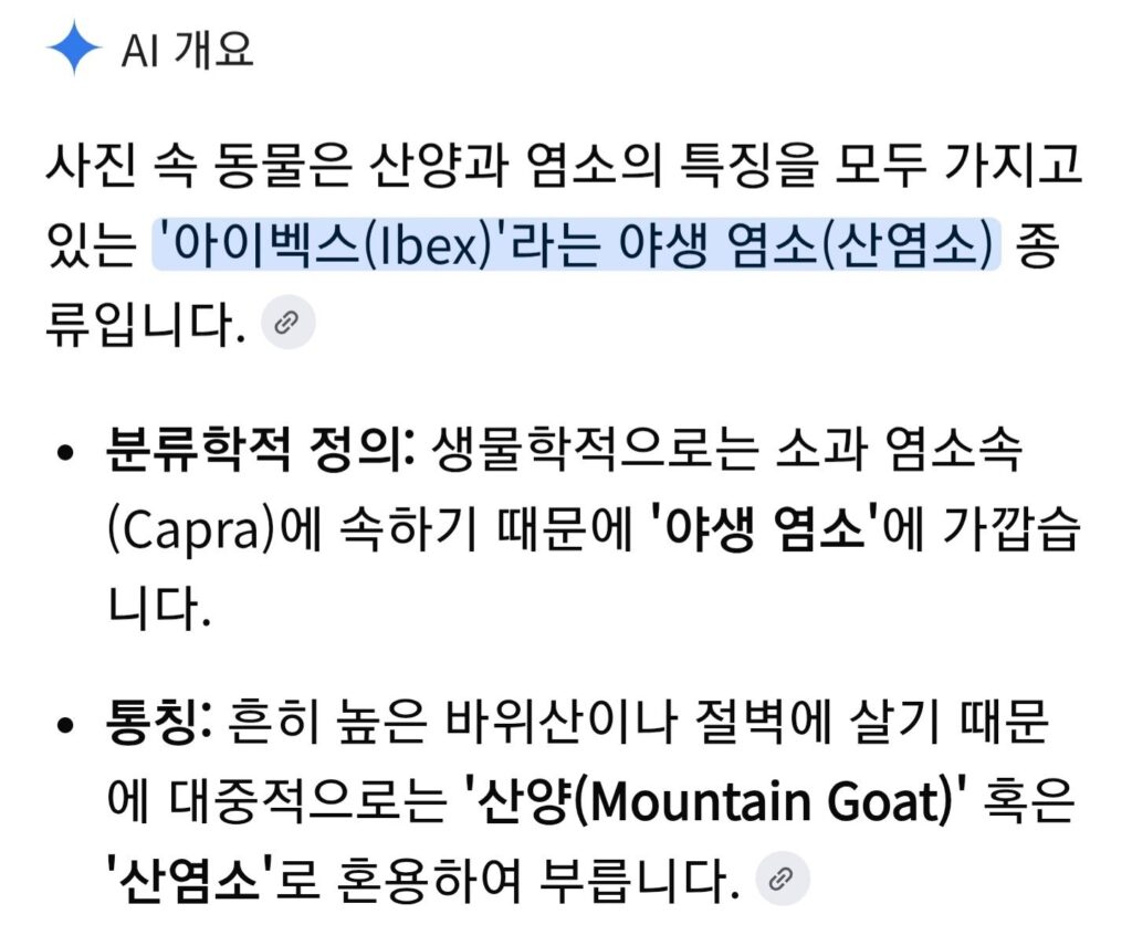 염소가 왜 goat인지 설명