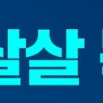 여수 섬박람회, 뱃놀이 풍경을 담다.