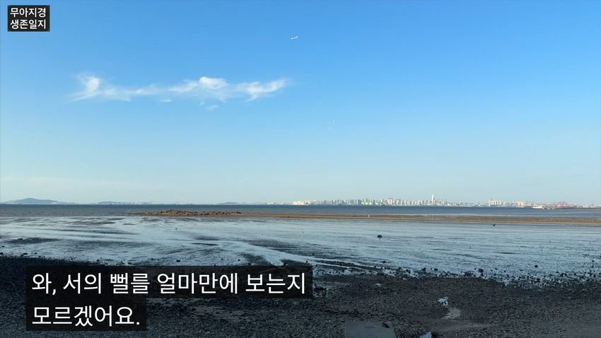 약후] 갯벌에서 식자재 해결하는 여자.jpg