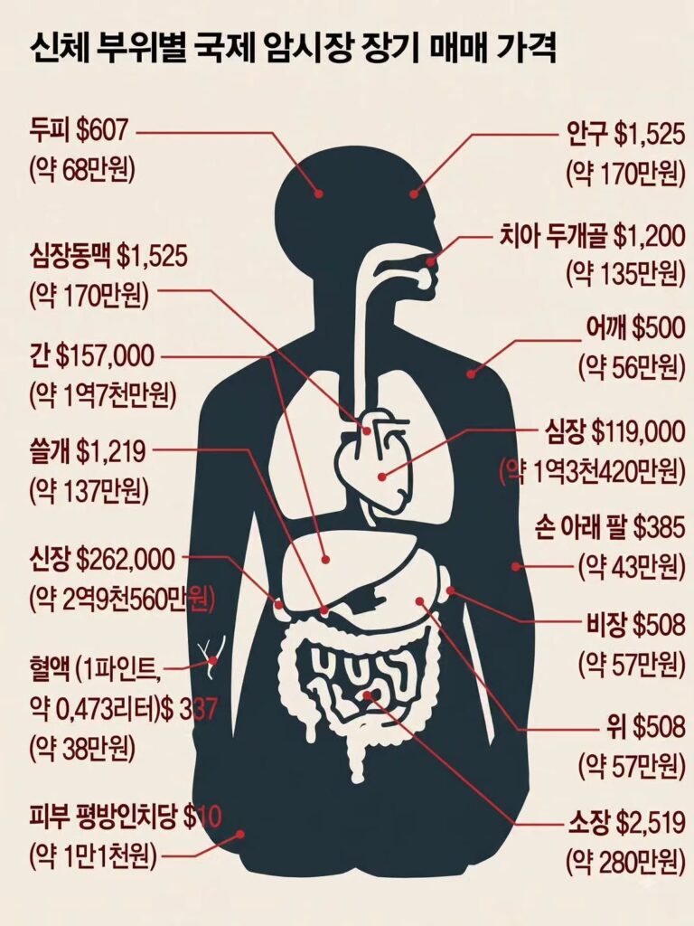 신체 부위별 장기 매매 국제 시세