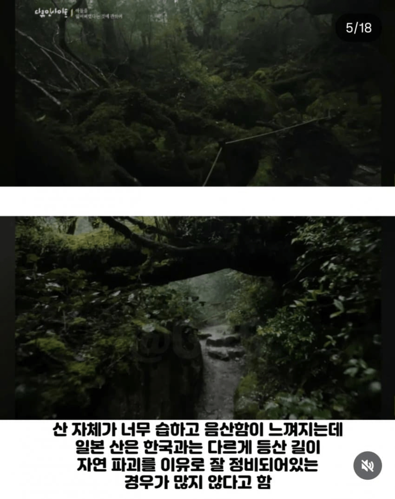 일본 산행 갔다가 실종되서 지금까지 못 돌아왔다는 한국인