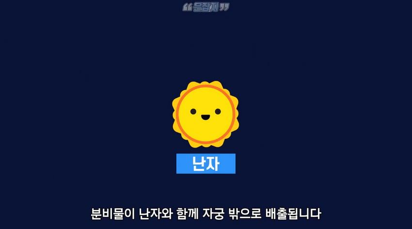 남자들은 잘 모르는 '냉'에 대하여