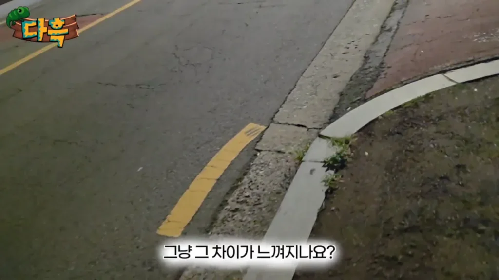 최근 부산에 서식하는 거대 돈벌레(그리마)