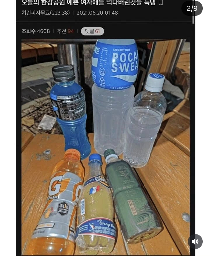 한강에서 무료 식사 해결하는 디시인