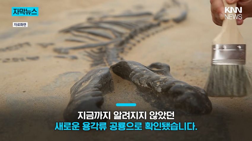 1억 년 전 초대형 공룡 뼈, 공사 현장에서 발견돼.