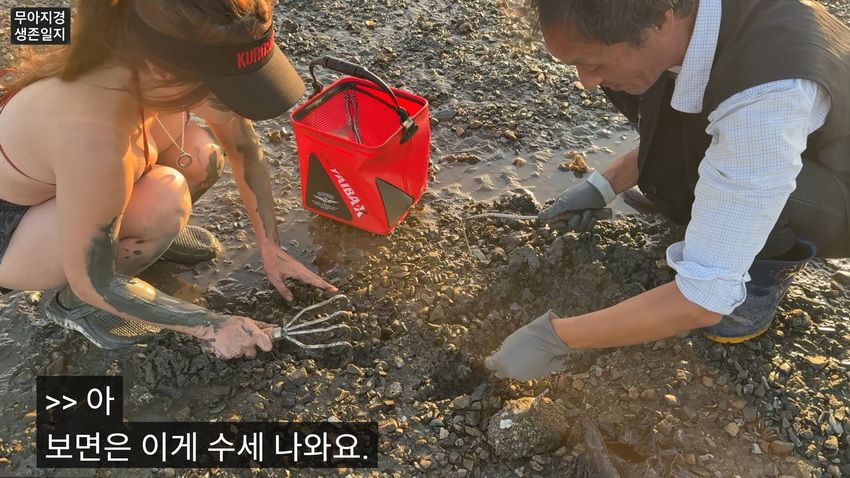 약후] 갯벌에서 식자재 해결하는 여자.jpg