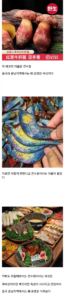 환각을 유발하는 것으로 알려진 독버섯