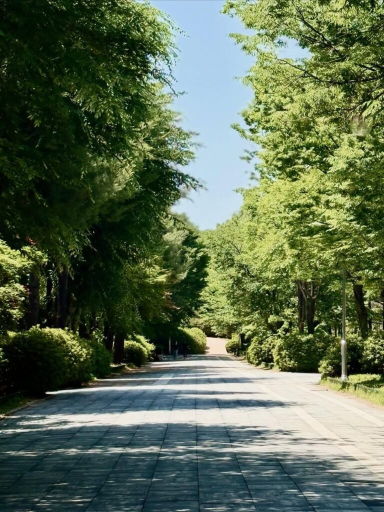 일산 이사 후 이국적인 동네 풍경에 해외여행 욕구를 잃은 사연