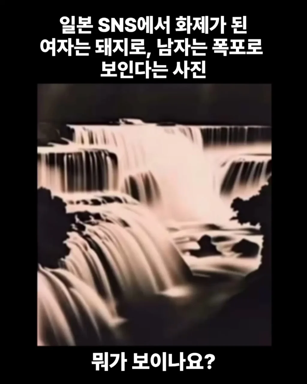 여자는 돼지로, 남자는 폭포로 보인다는 사진