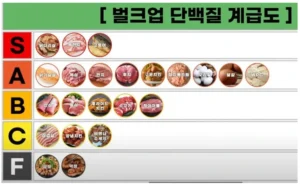 벌크업용 단백질 종류별 비교.jpg