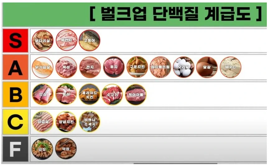 벌크업용 단백질 종류별 비교.jpg