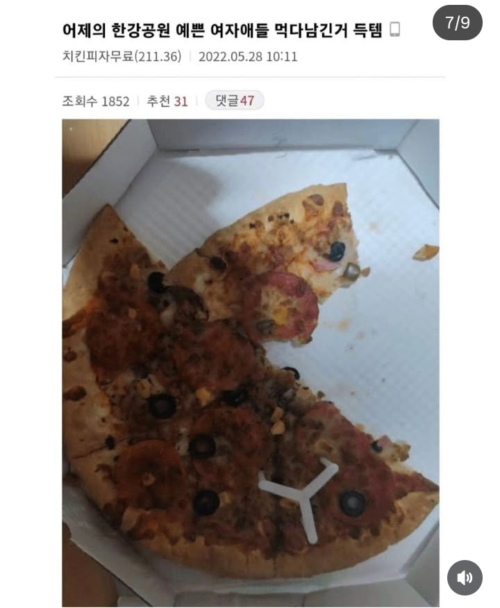 한강에서 무료 식사 해결하는 디시인