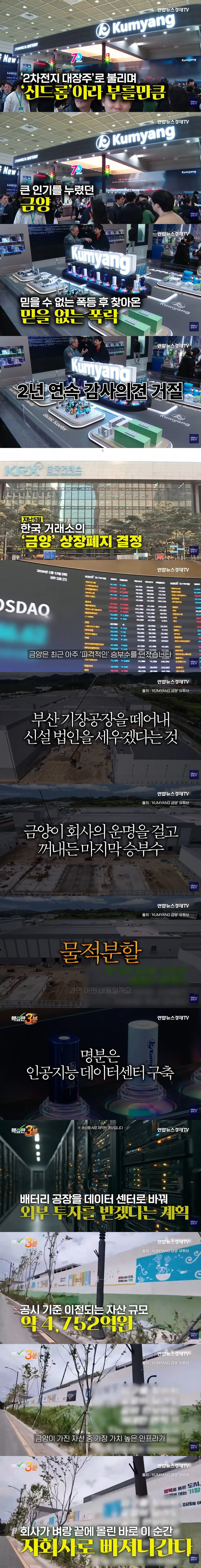 금양, 상장폐지 위기 극복 위한 필살기 꺼내들다