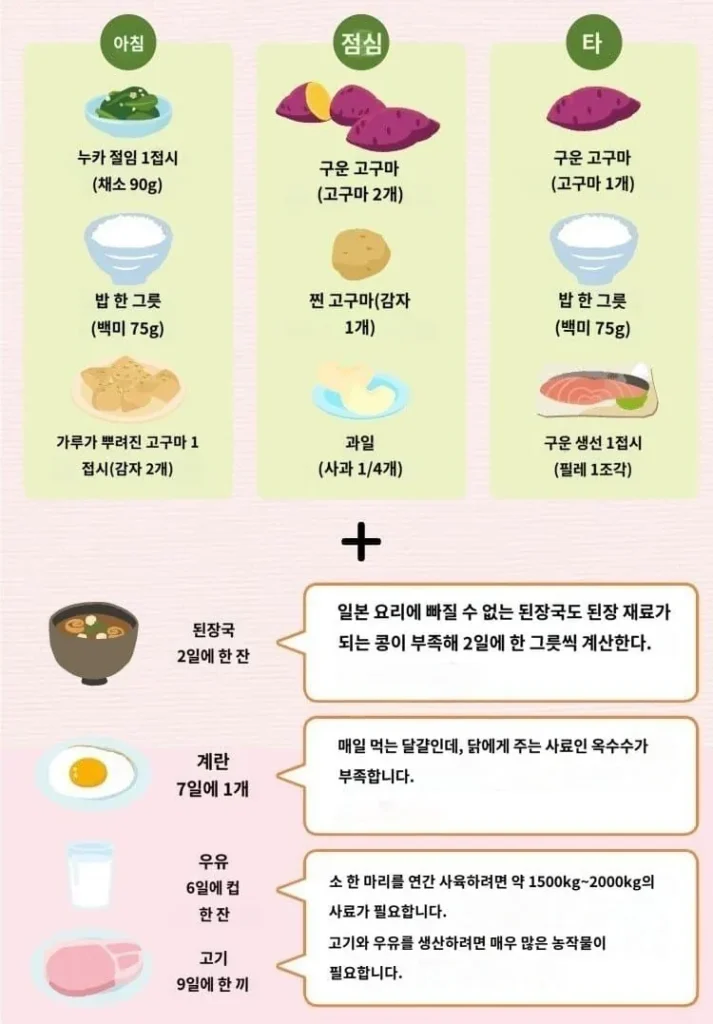 일본 수입 중단 시 식사 대안