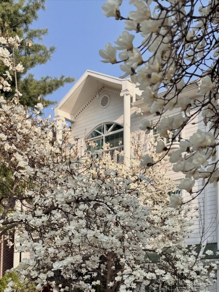 일산 이사 후 이국적인 동네 풍경에 해외여행 욕구를 잃은 사연