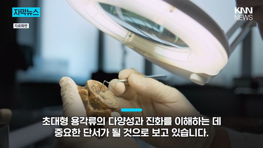 1억 년 전 초대형 공룡 뼈, 공사 현장에서 발견돼.